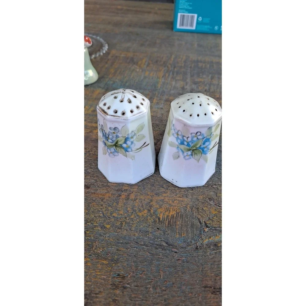 Nippon‎ Hand Painted Floral Salt & Pepper Shakers